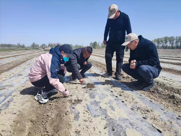 “三抓三促”行動進(jìn)行時(shí) | 篤行不怠勇?lián)?dāng)　砥礪奮進(jìn)正當(dāng)時(shí) —— 武威市敦煌種業(yè)種子有限公司“三抓三促”行動紀(jì)實(shí)