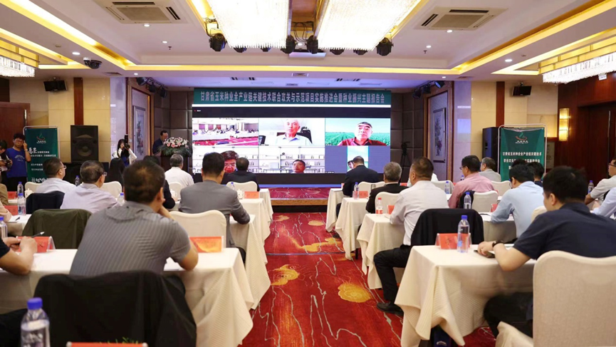 “三抓三促”進(jìn)行時 | 敦煌種業(yè)牽頭：“甘肅省玉米種業(yè)全產(chǎn)業(yè)鏈關(guān)鍵技術(shù)聯(lián)合攻關(guān)與示范”項(xiàng)目實(shí)施推進(jìn)會暨種業(yè)振興主題報告會召開