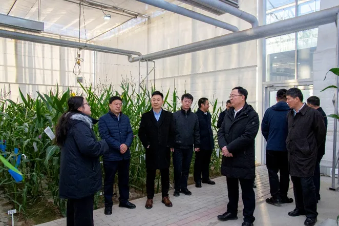 中國建設銀行股份有限公司領導一行來敦煌種業(yè)調(diào)研